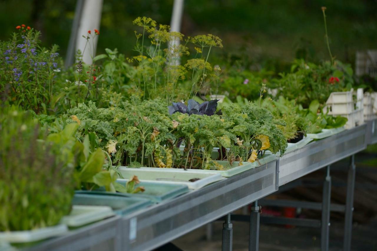 维拉奥通Bio Felderhof公寓 外观 照片